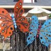 Giant Butterflies.  Priced 65.00 each.  